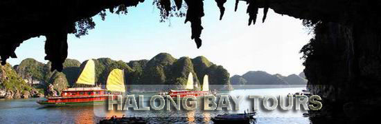 Halong bay tours